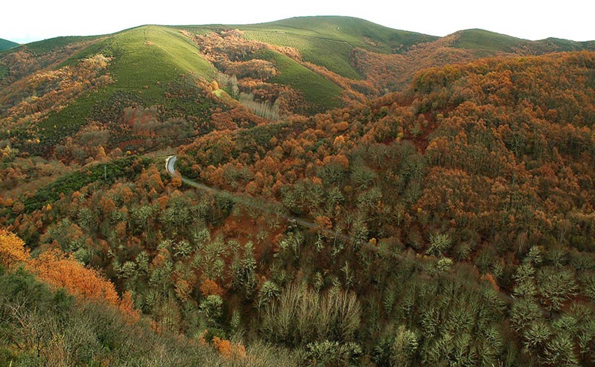 La Reserva De La Biosfera De Los Ancares Crea Un Nuevo Plan De Acci N