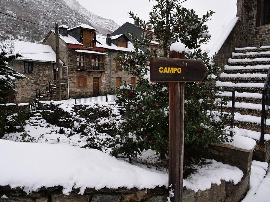 COLINAS DEL CAMPO NEVADO 281220