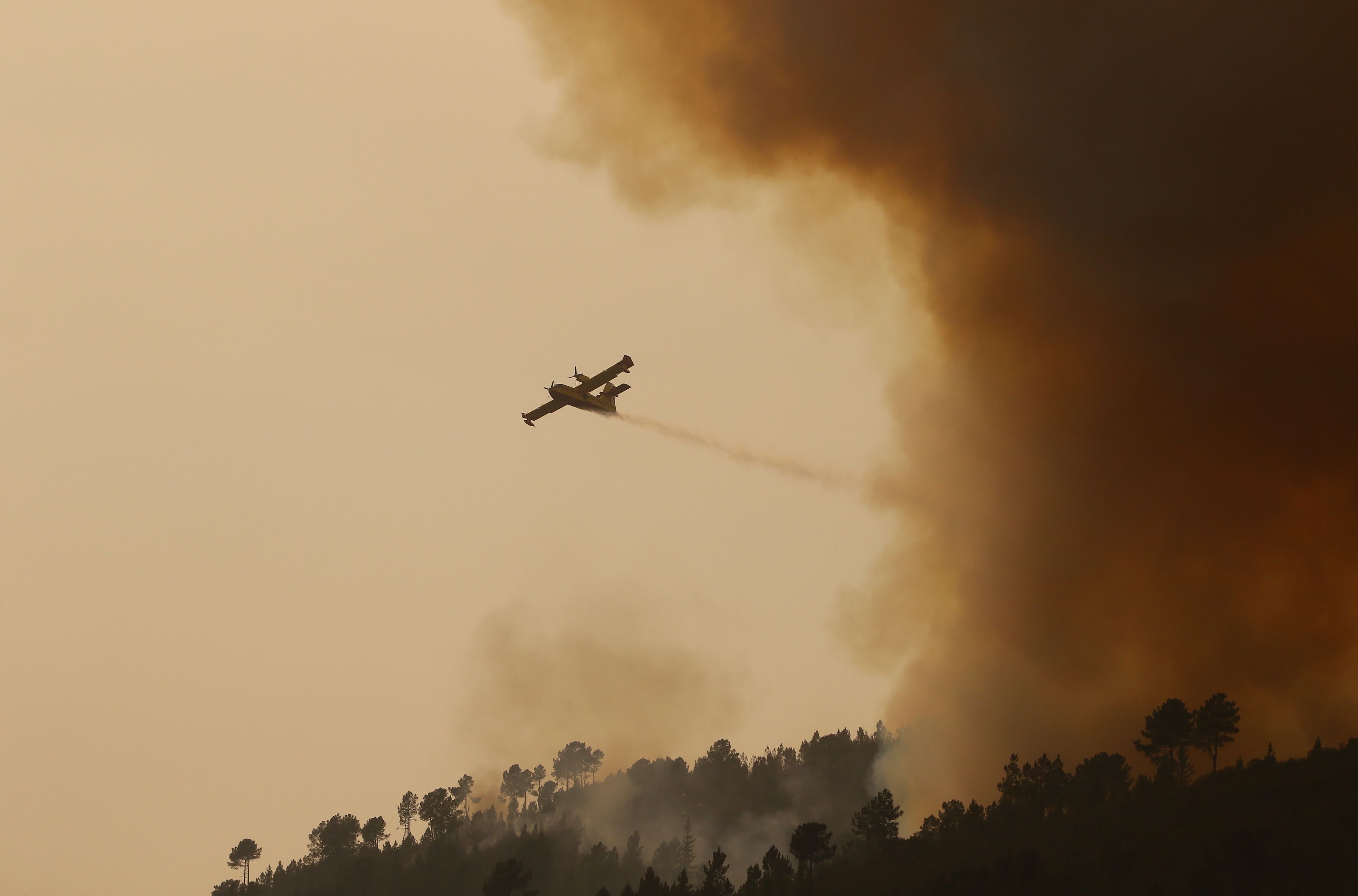 Incendios en El Bierzo | Alerta de riesgo de incendios por las altas temperaturas y el descenso de la humedad los días 24, 25 y 26 de julio