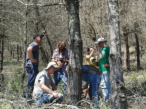 Imagen de los trabajos de campo