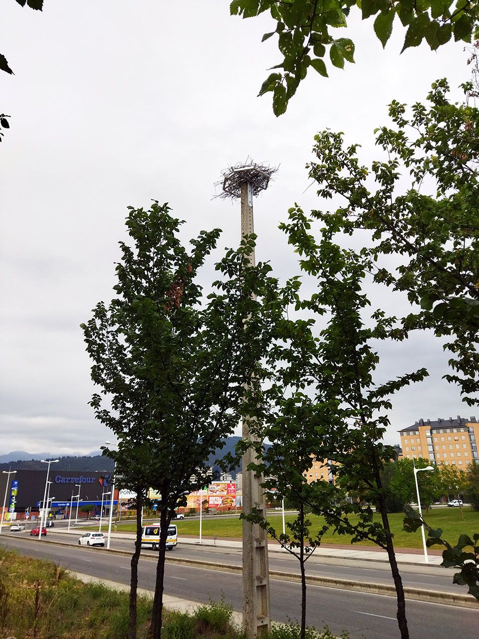 Nidos para cigüeñas Anillo Verde Ponferrada 2