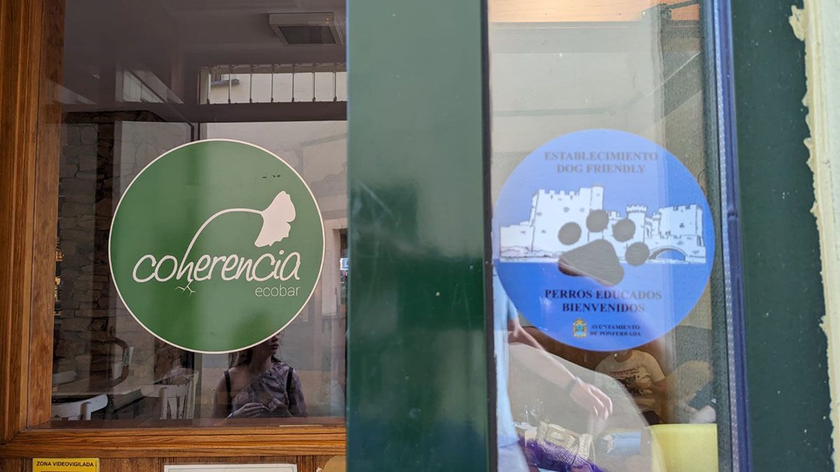 coherencia bar dogfriendly