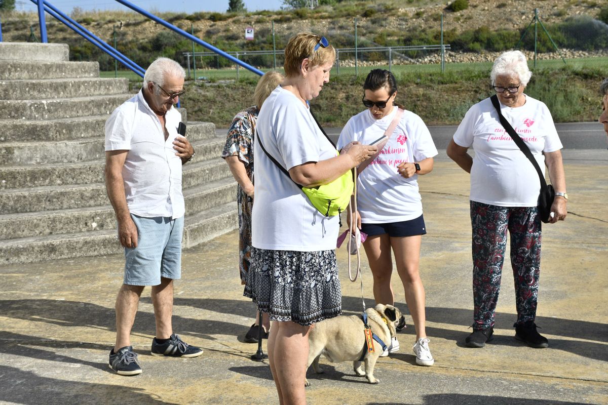 El reto del Camino contra el Parkinson Bierzo a Santiago