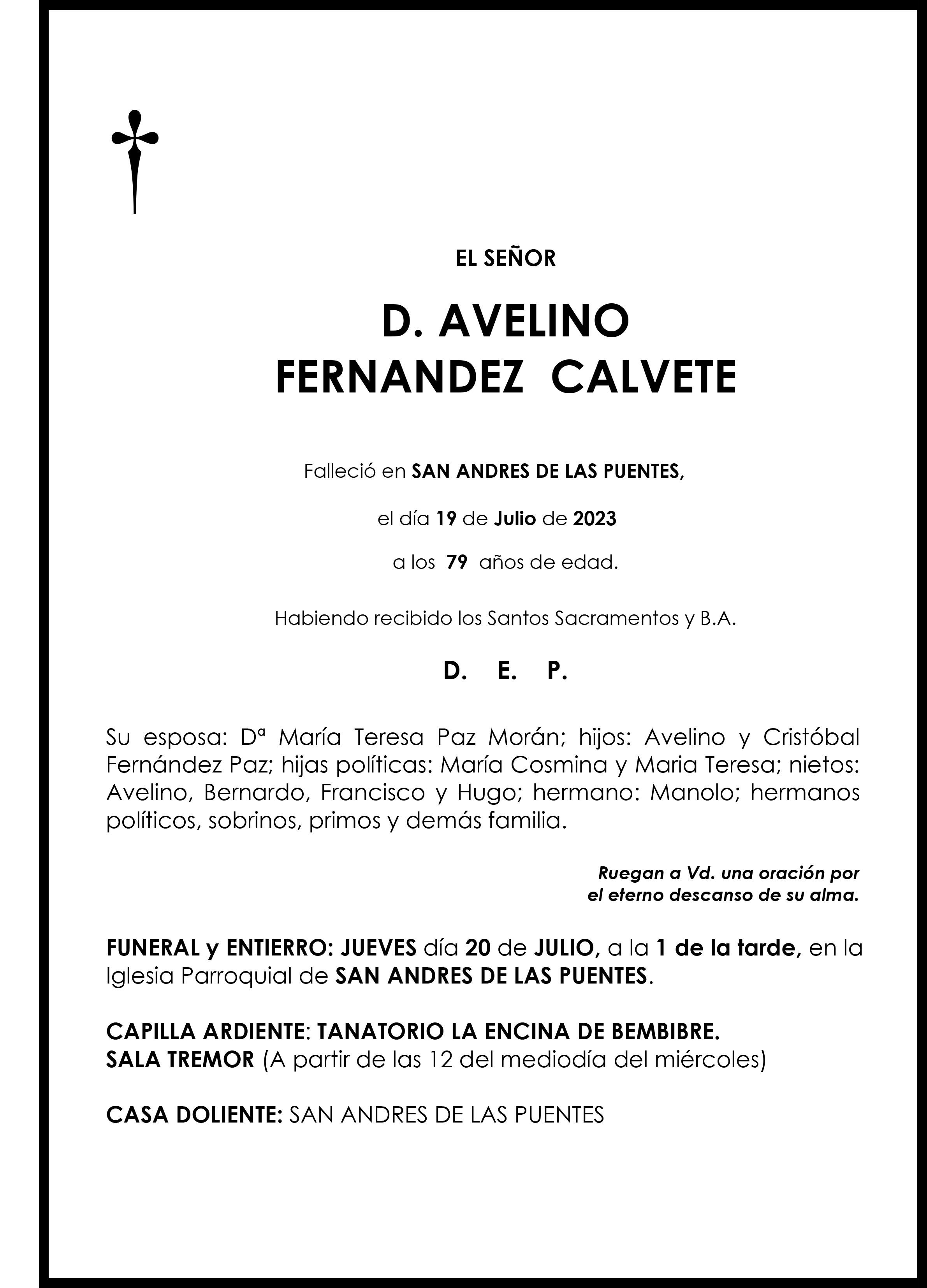 AVELINO FERNANDEZ CALVETE