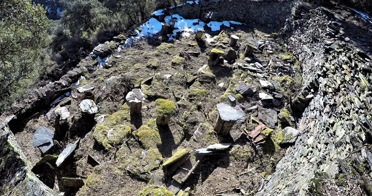 Imagen de Cortines de Fonfría, Torre del Bierzo