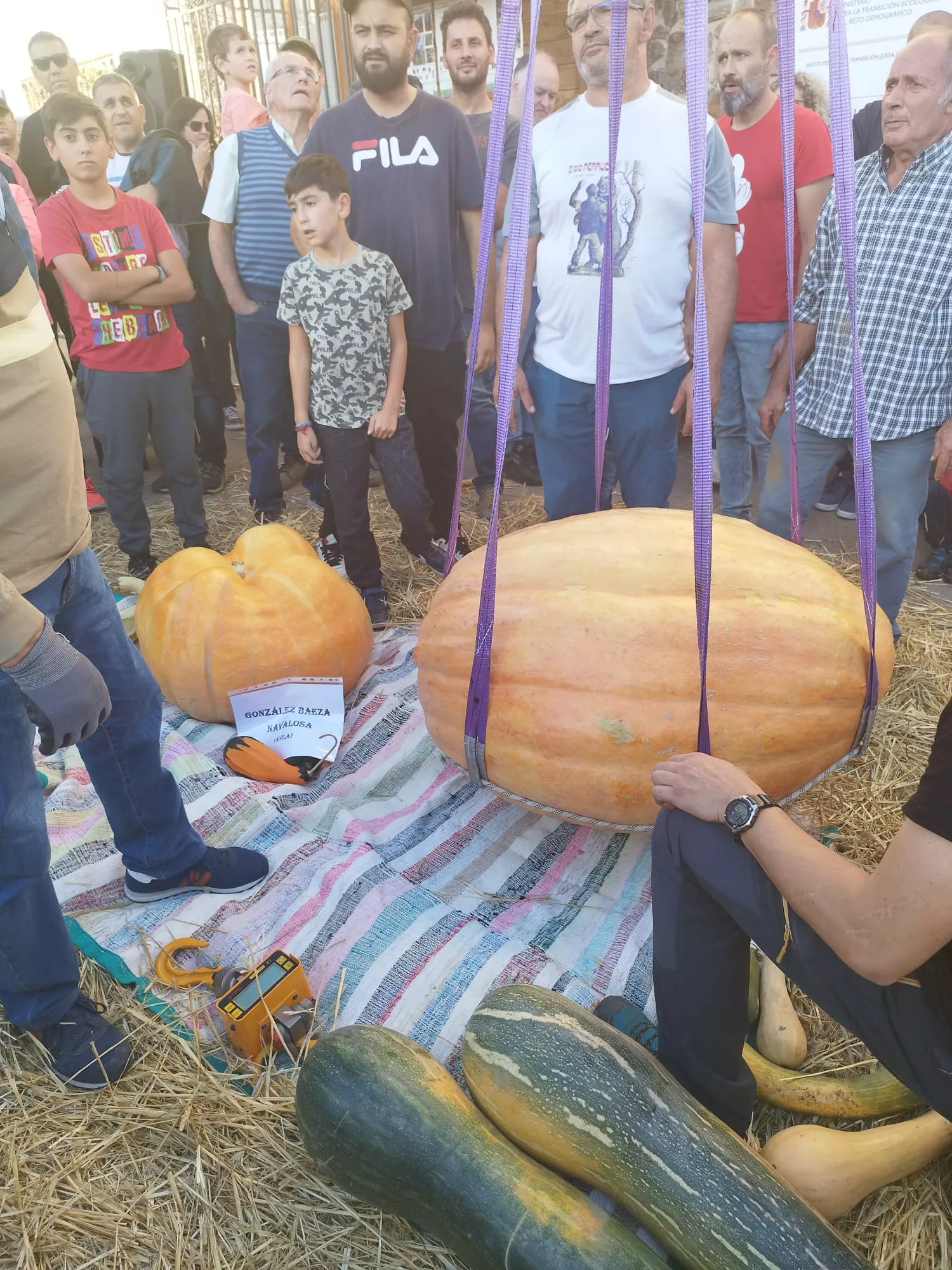 Feria de la Calabaza en Igüeña (1)