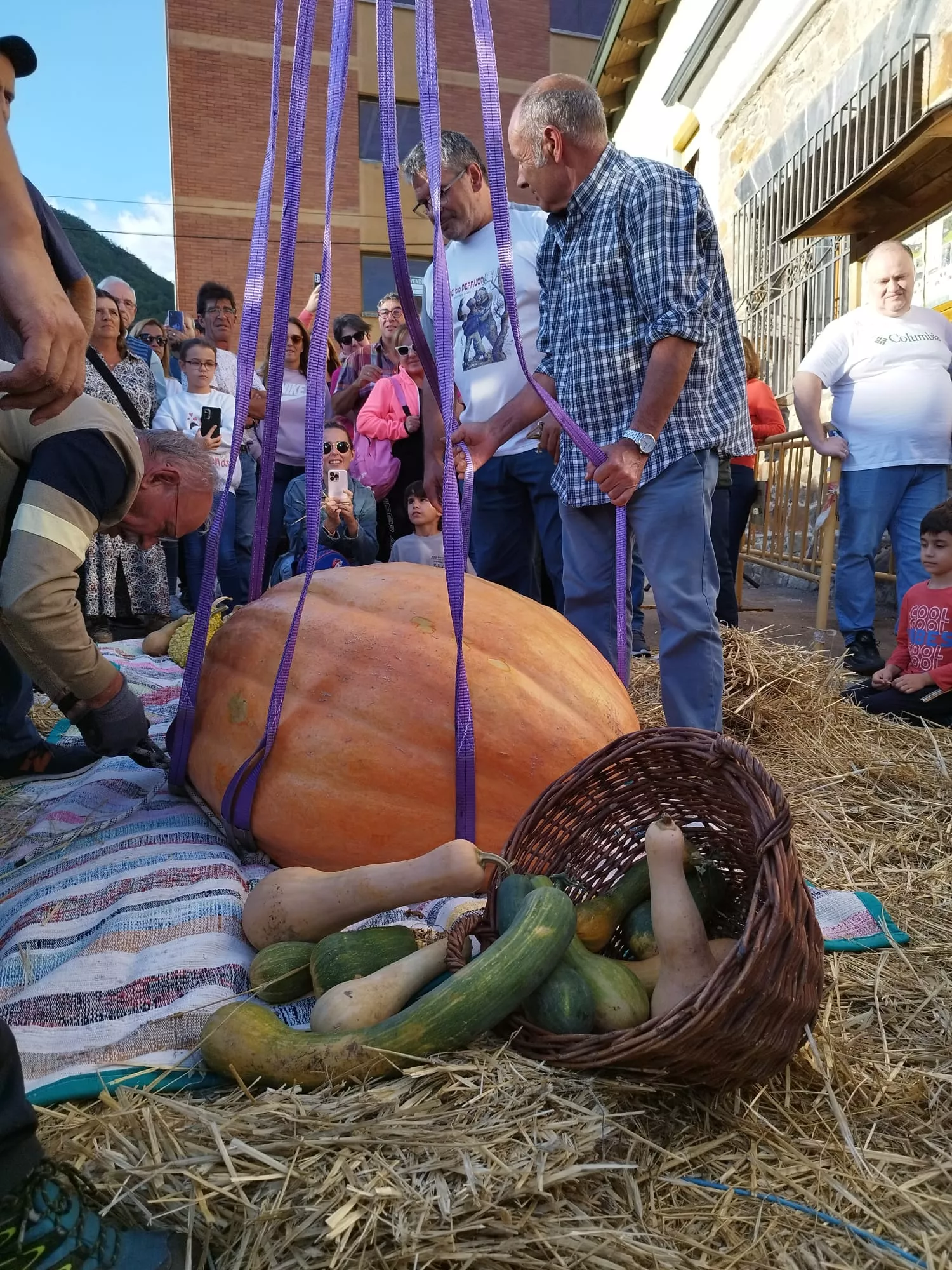 Feria de la Calabaza en Igüeña (3)