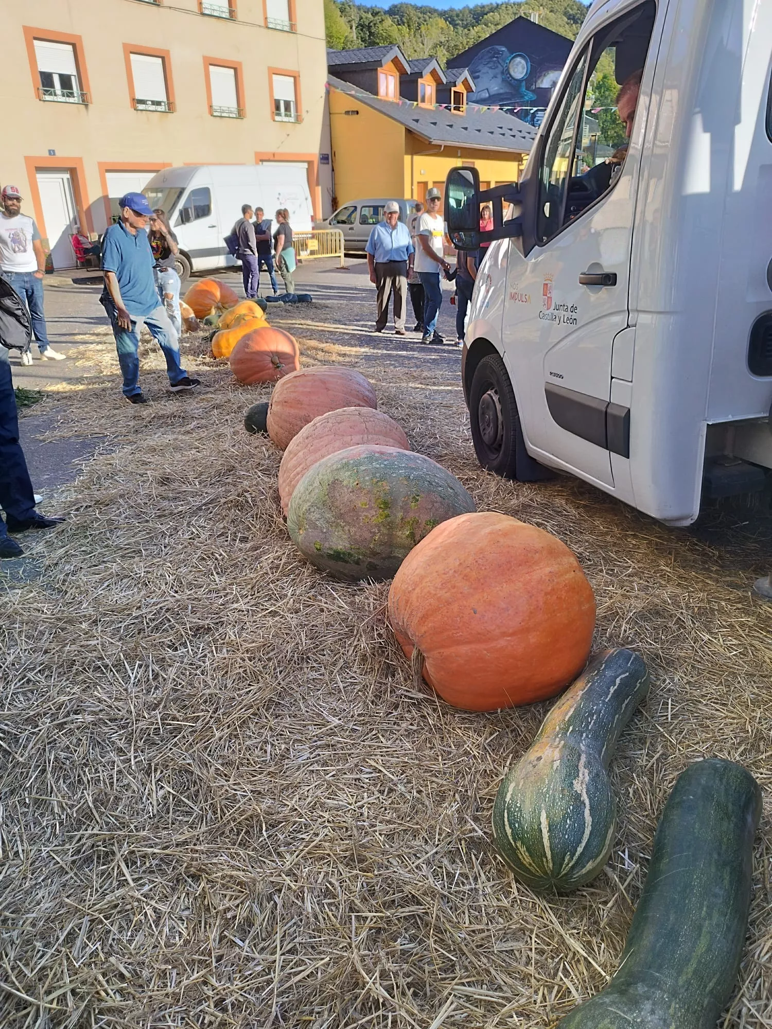 Feria de la Calabaza en Igüeña (5)