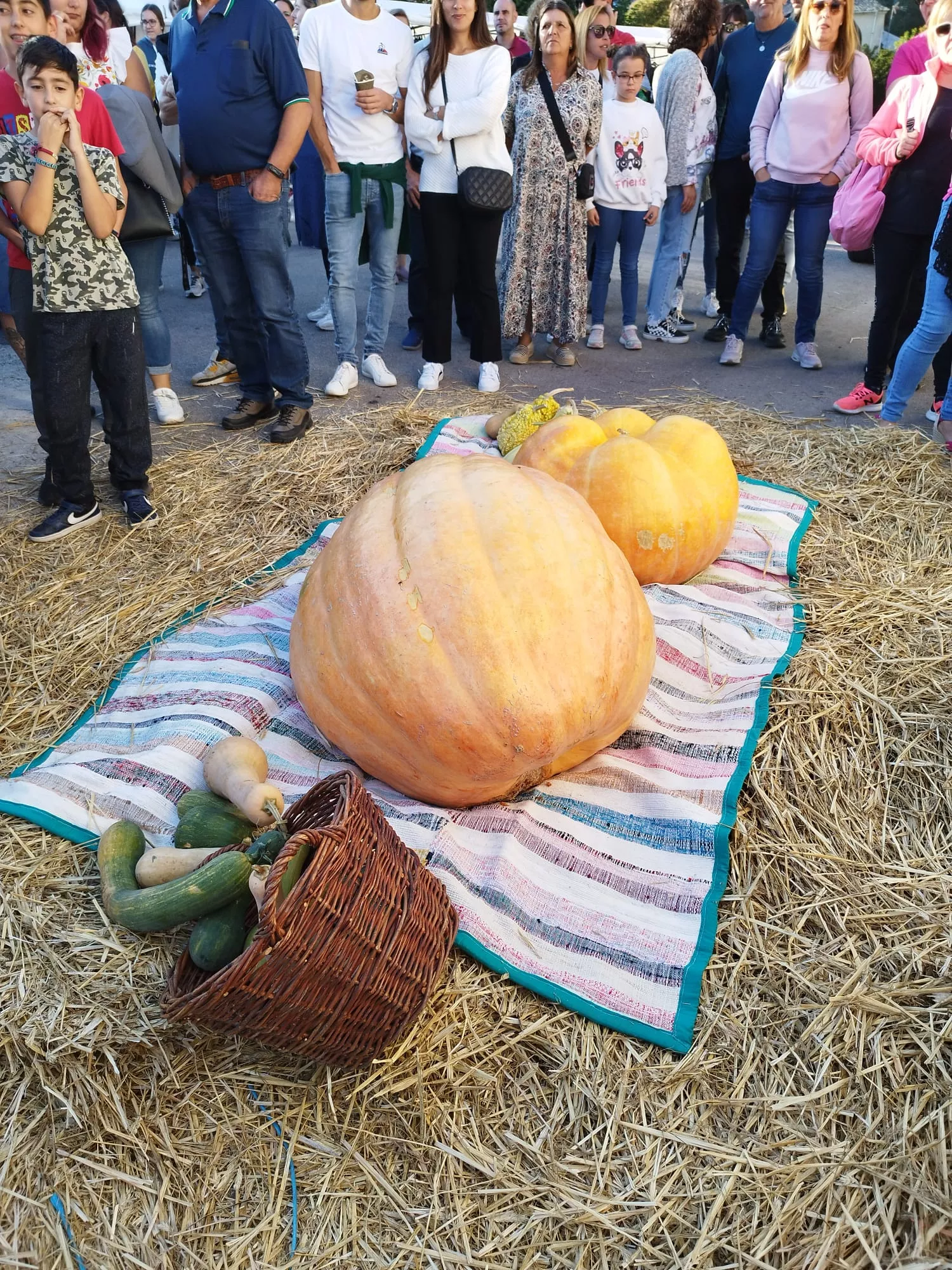 Feria de la Calabaza en Igüeña (6)