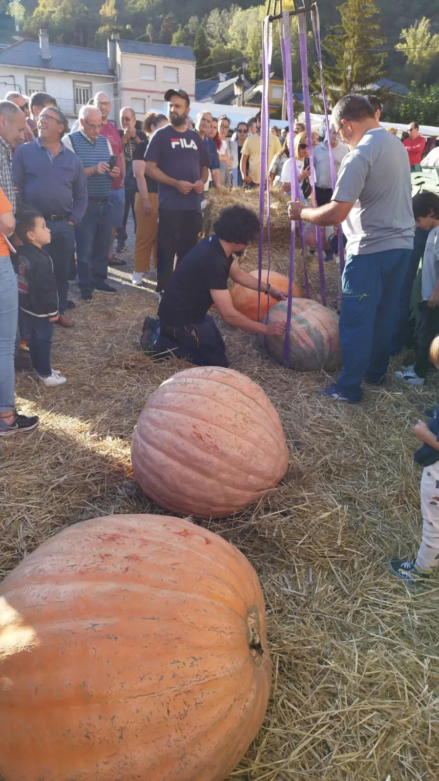 Feria de la Calabaza en Igüeña (7)