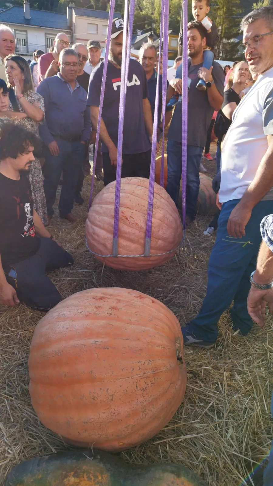 Feria de la Calabaza en Igüeña (8)