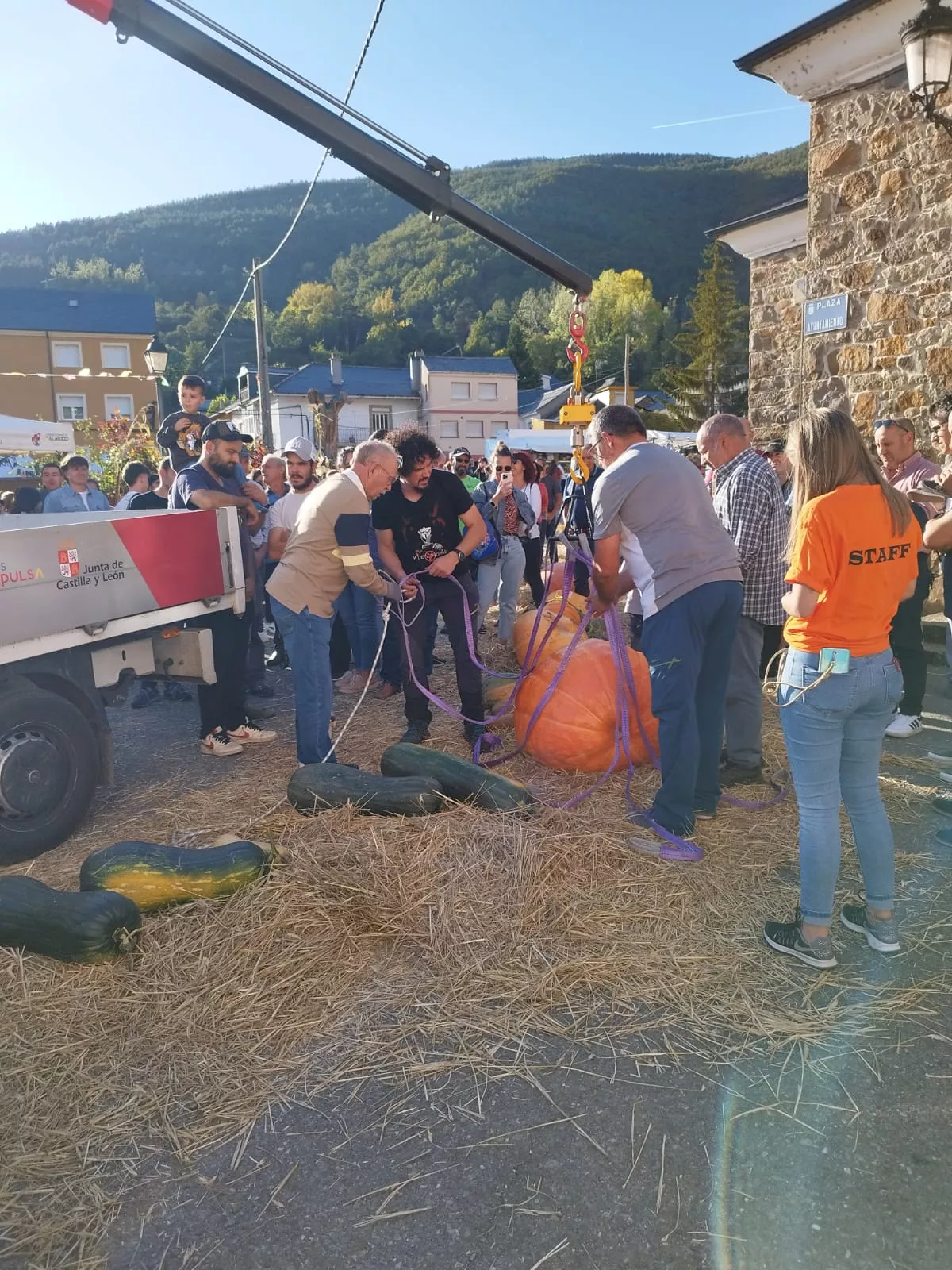 Feria de la Calabaza en Igüeña (10)