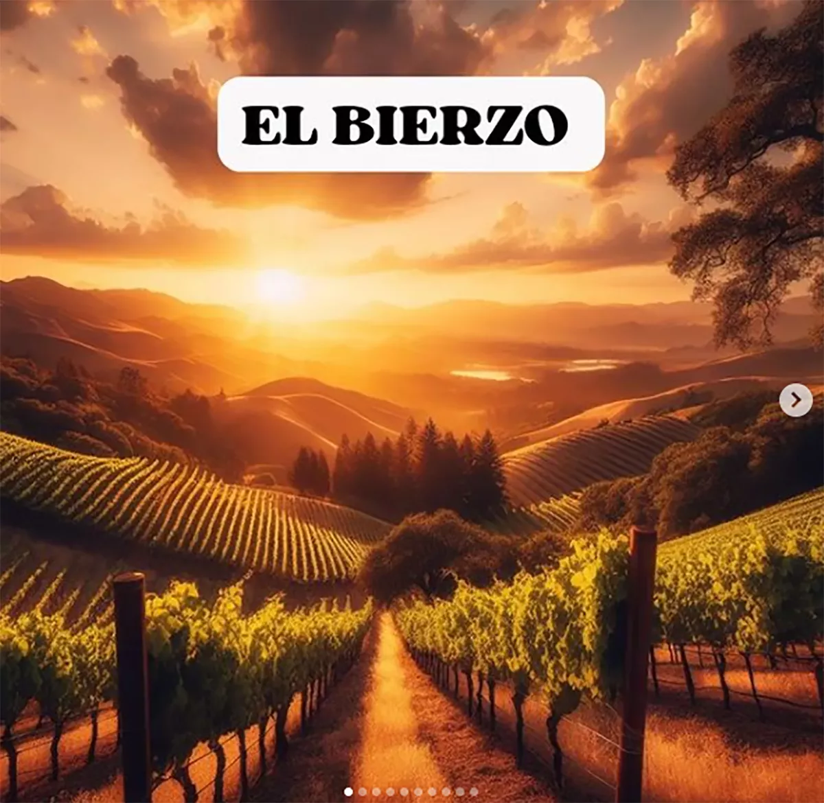 el bierzo ia 