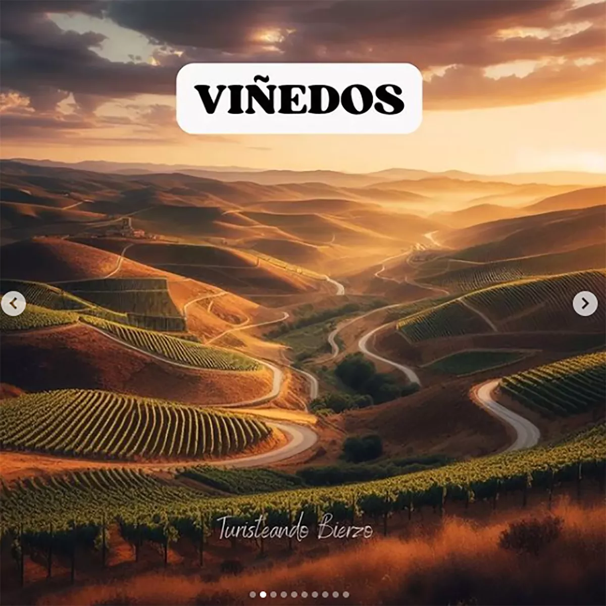 viñedos ia