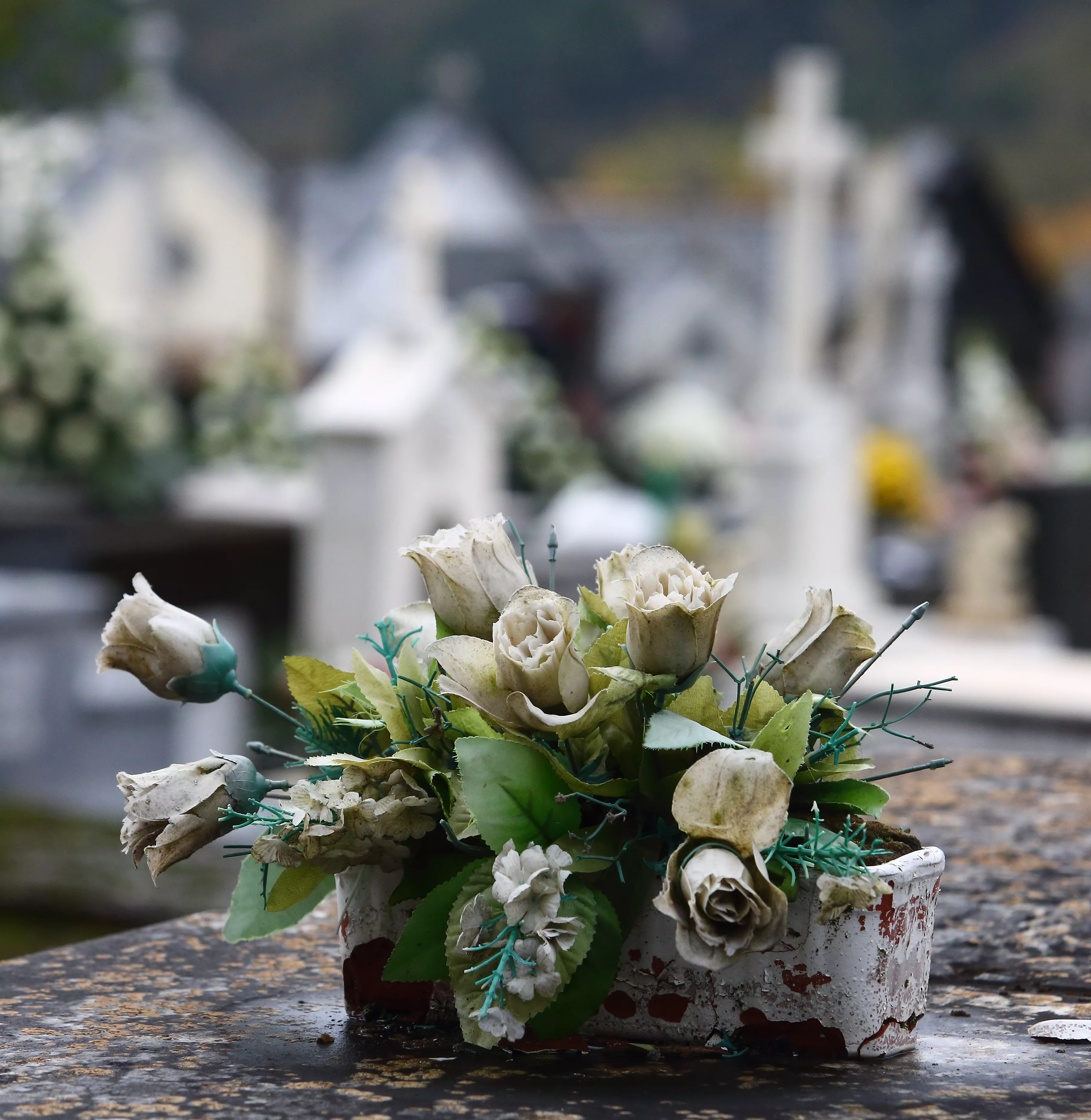 Día de Todos los Santos en el cementerio de Villafranca del Bierzo (6)