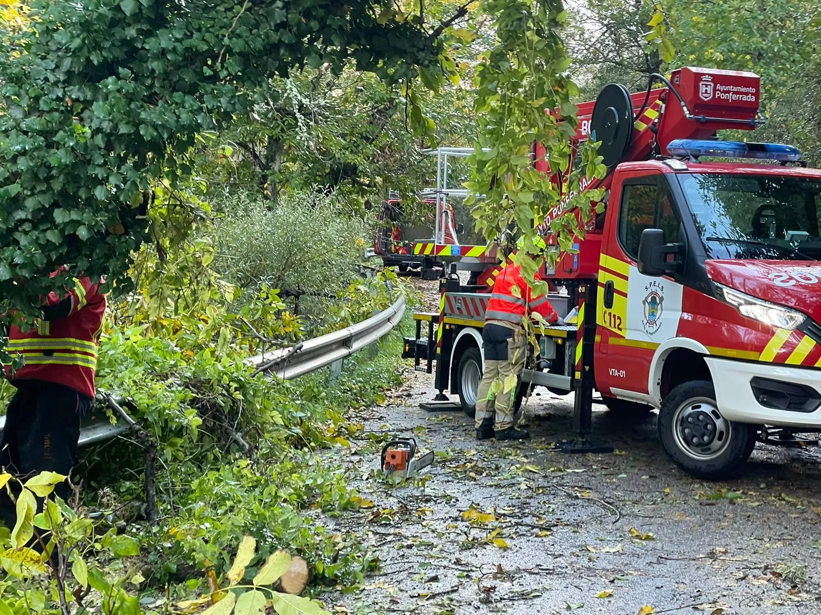 Árbol caído en la carretera de acceso a Valdecañada. Foto Luis Boya (2)