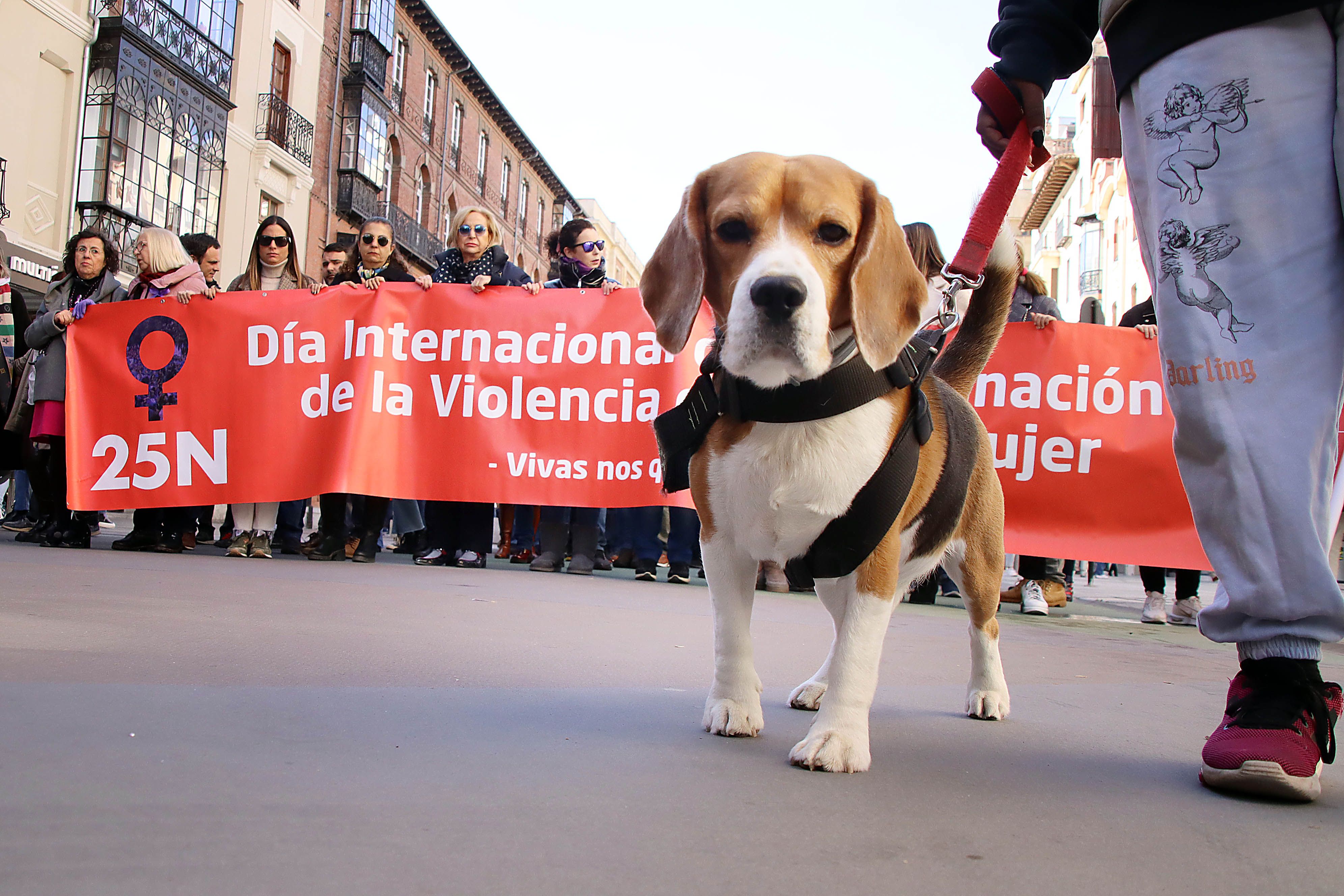  Manifestación  por el Día Internacional de la Eliminación de la Violencia contra la Mujer 