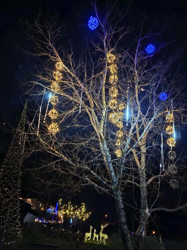 Iluminación de Navidad en Librán