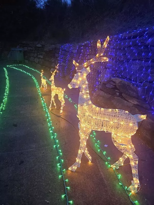 Iluminación de Navidad en Librán