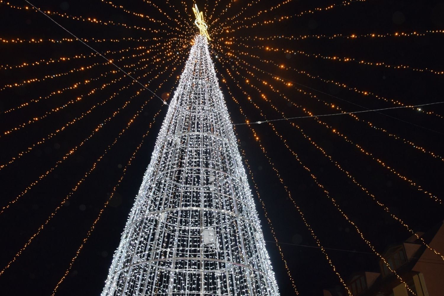 La Bañeza se Ilumina con la Magia de la Navidad