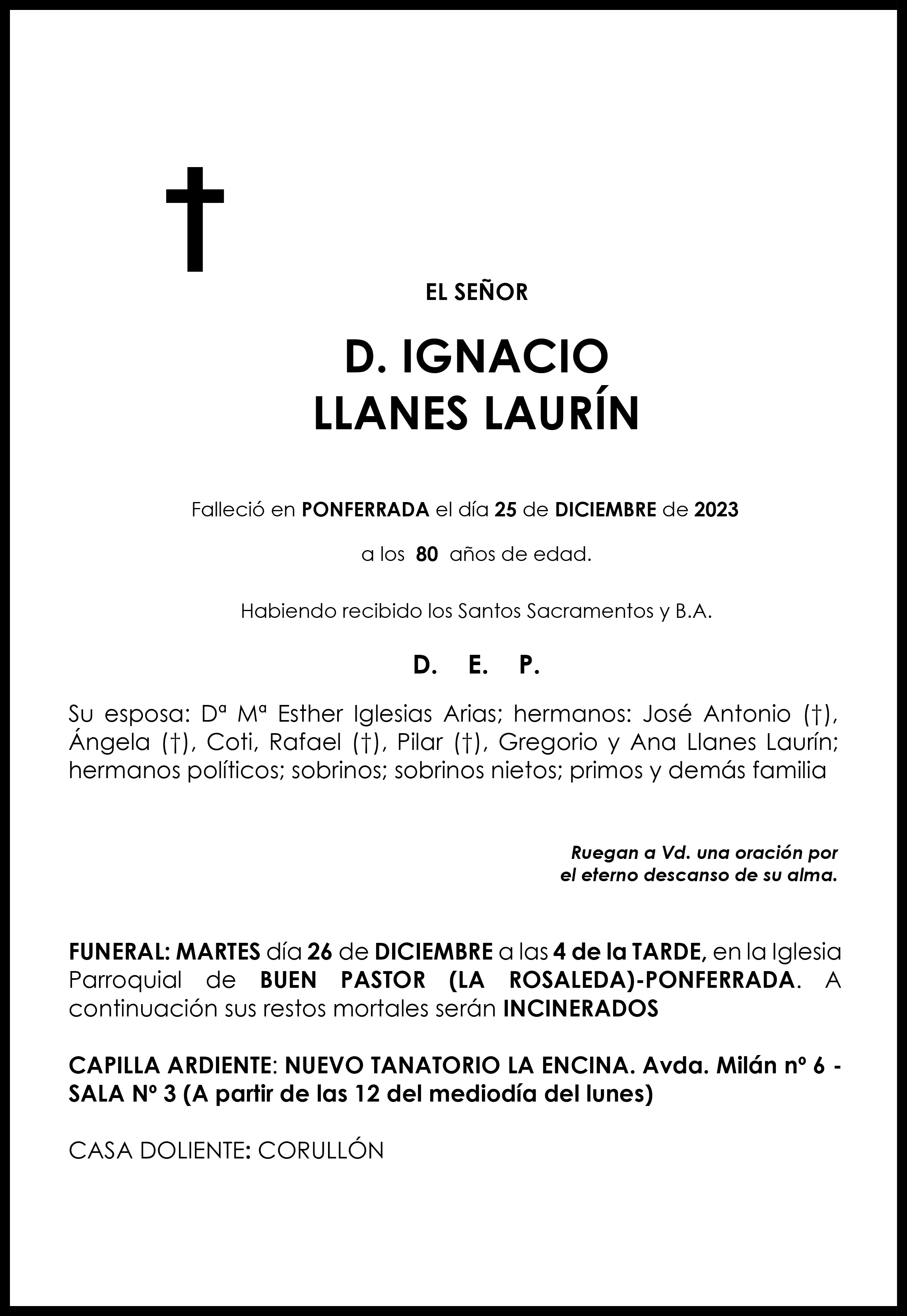 IGNACIO LLANES LAURIN