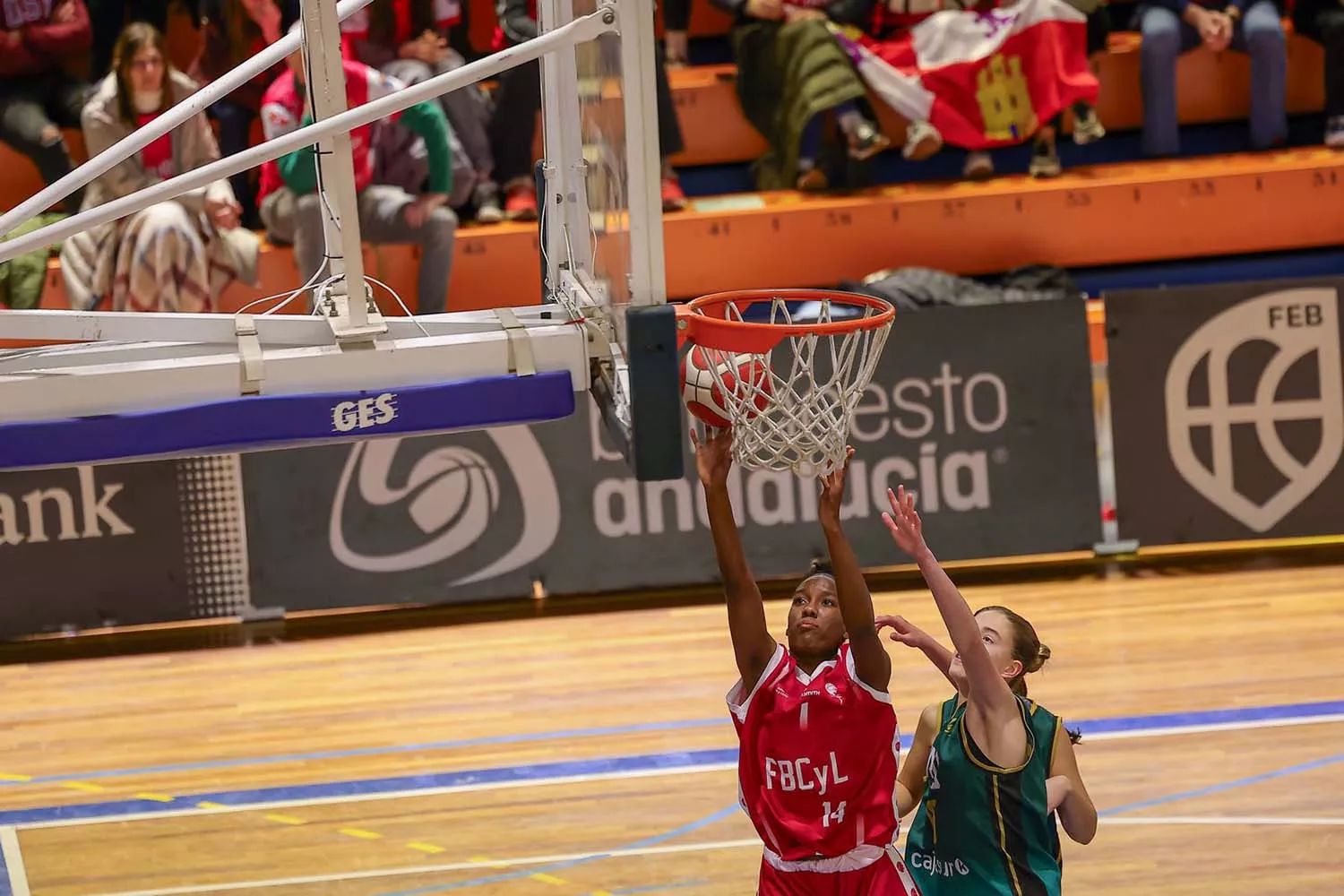 Baloncesto Femenino Infantil Castilla y León