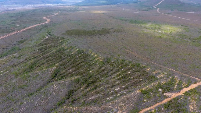 Inteligencia artificial para identificar restos de minas de oro romanas