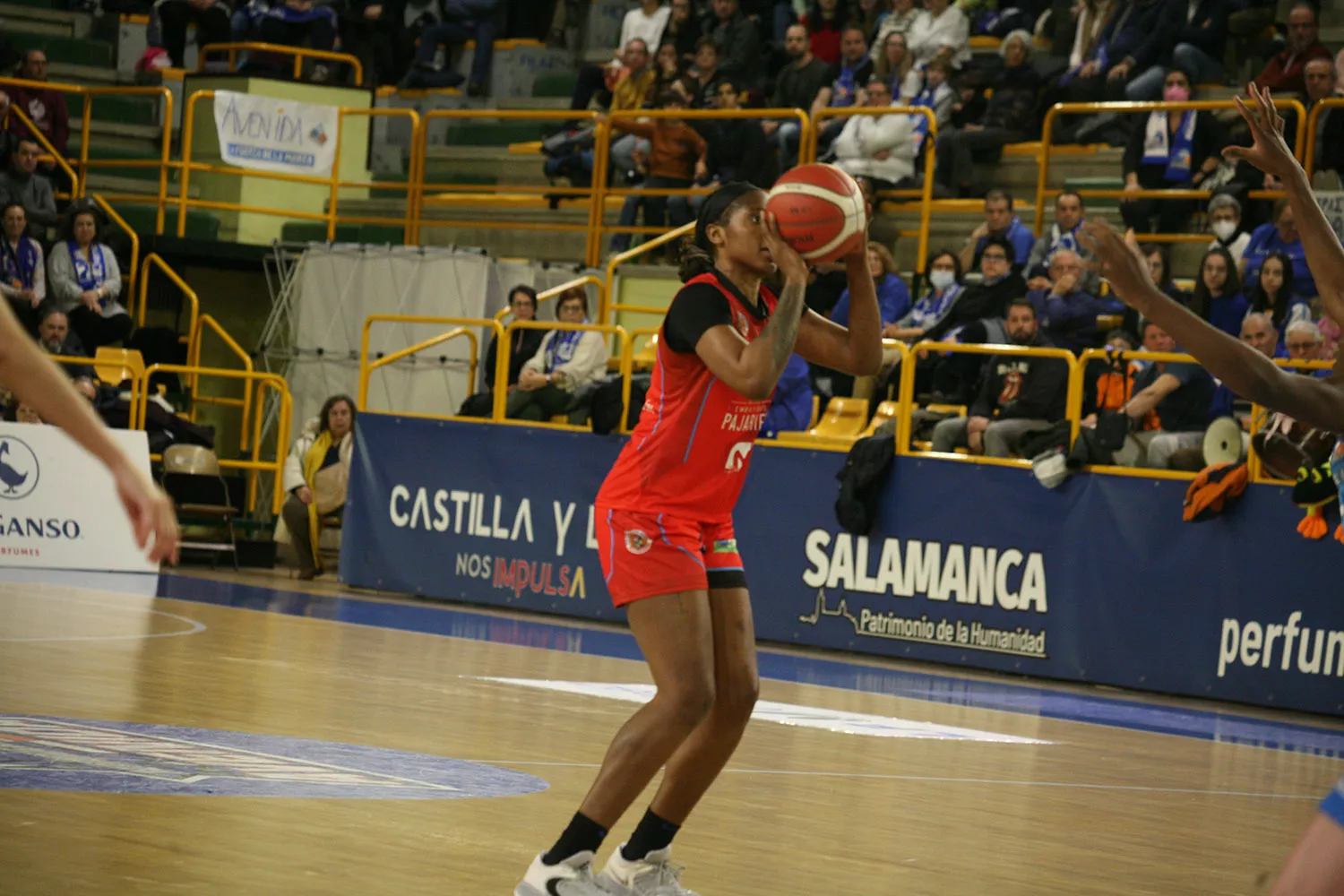 Baloncesto Bembibre Perfumerías Avenida 2