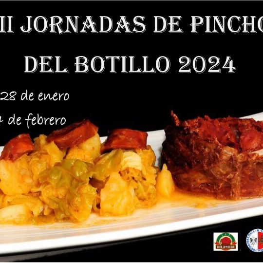 Cartel Jornadas de Pinchos del Botillo de Bembibre