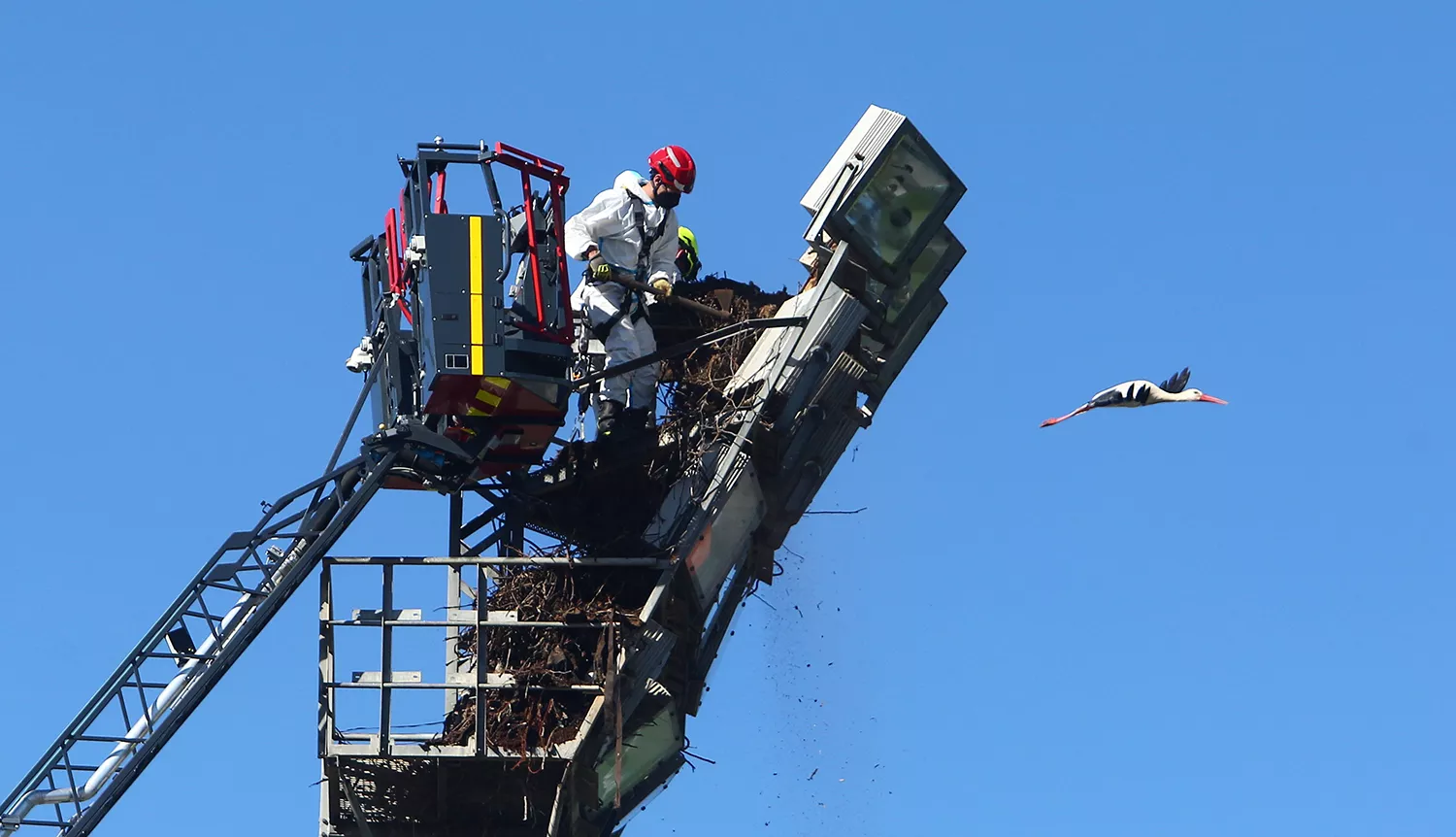 Los bomberos de Ponferrada quitan varios nidos de cigüeña de las torretas de iluminación del campo de fútbol de Fuentesnuevas (1)