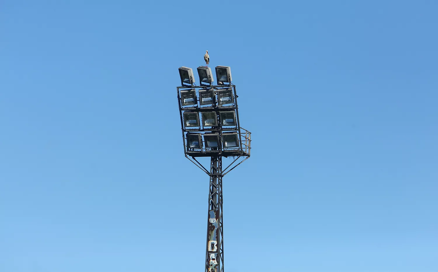 Los bomberos de Ponferrada quitan varios nidos de cigüeña de las torretas de iluminación del campo de fútbol de Fuentesnuevas (9)