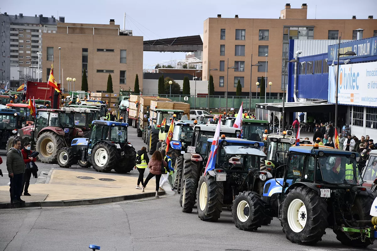 Tractores en El Toralín (16)