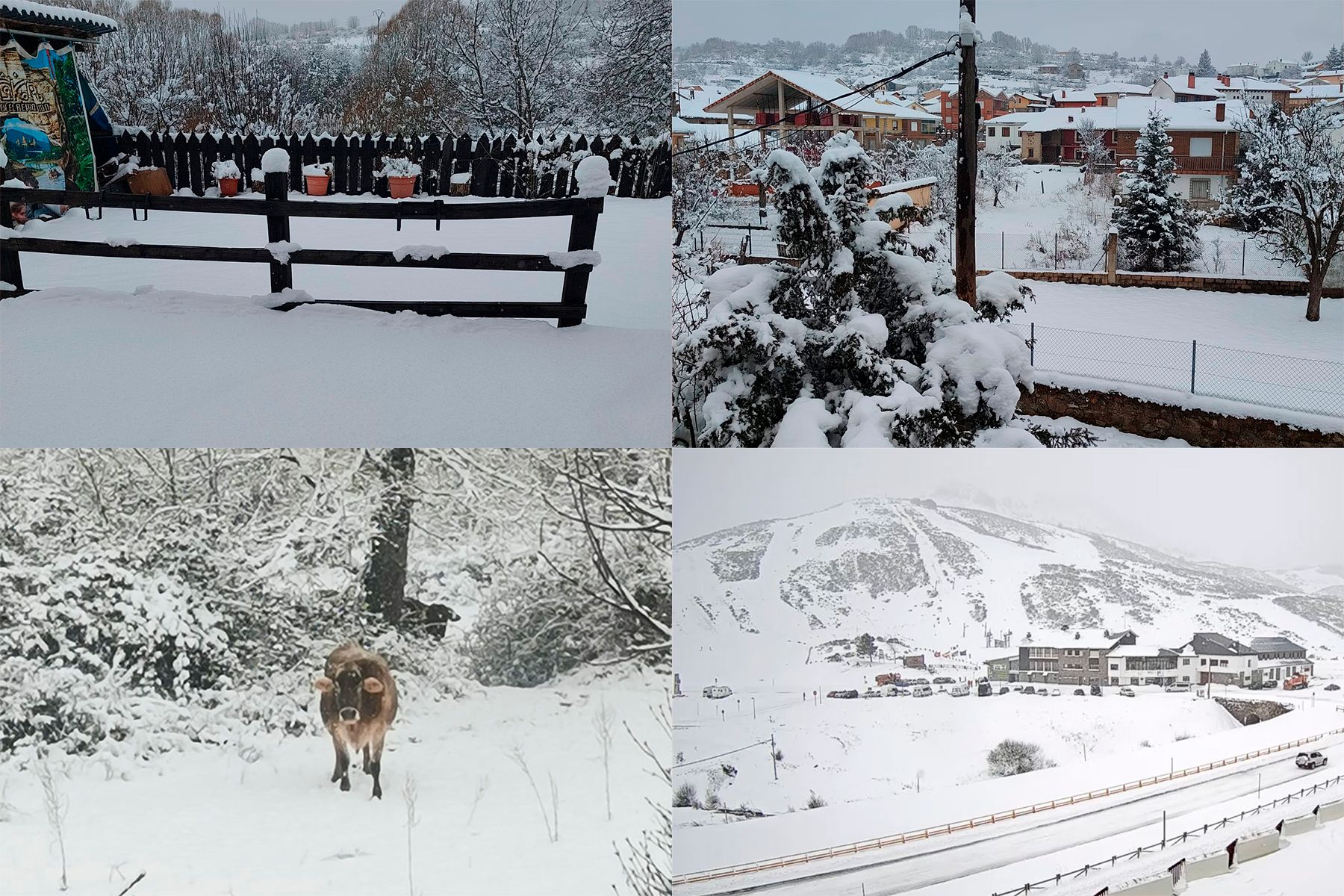La borrasca Louis deja más viento, frío y nieve en León