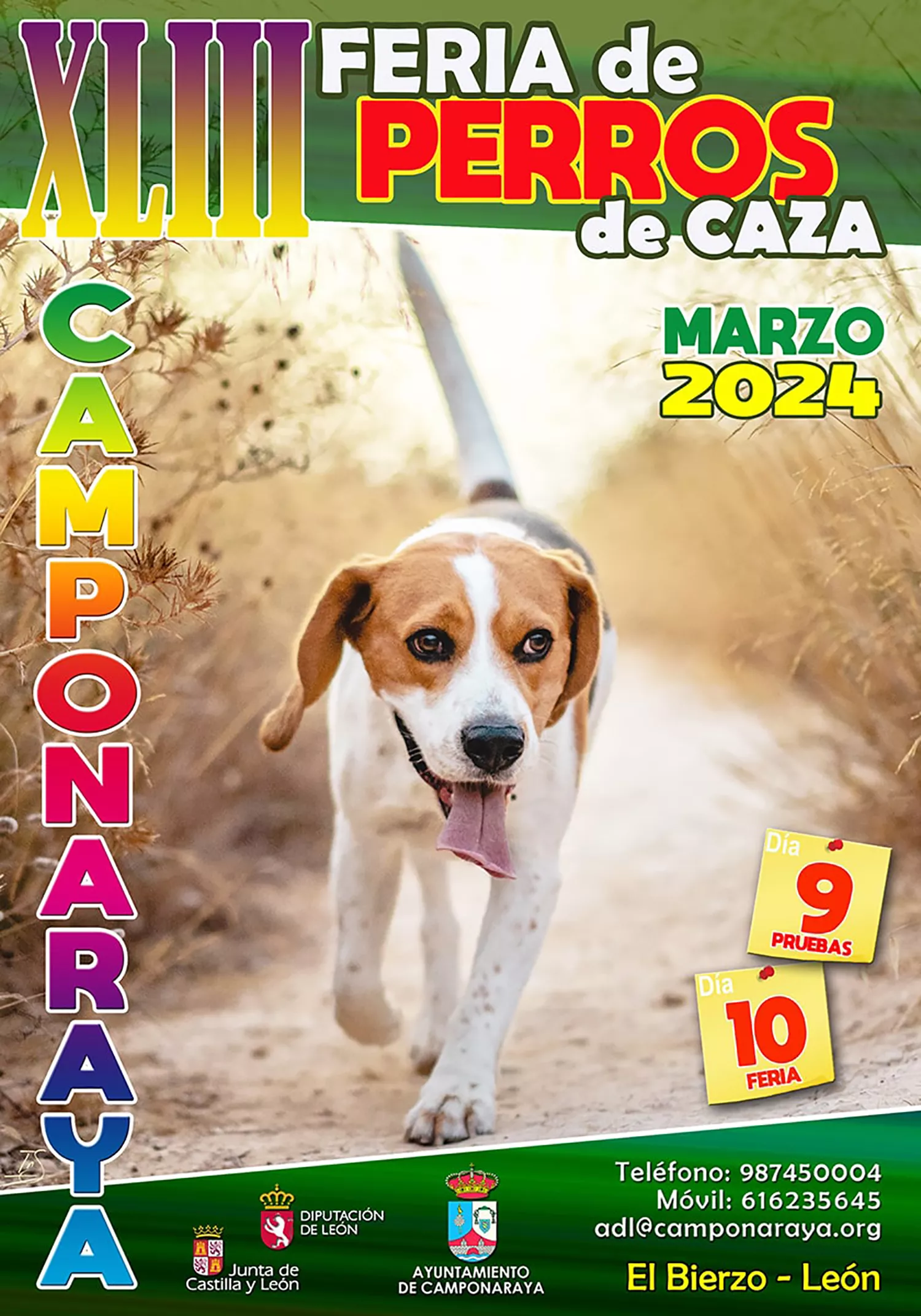 Cartel Feria Perros de Caza de Camponaraya 2024