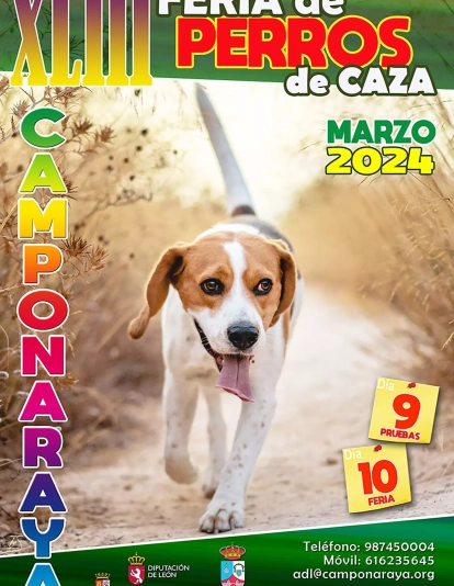 Cartel Feria Perros de Caza de Camponaraya 2024