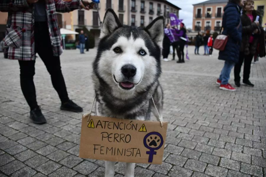 8M en el Ayuntamiento de Ponferrada