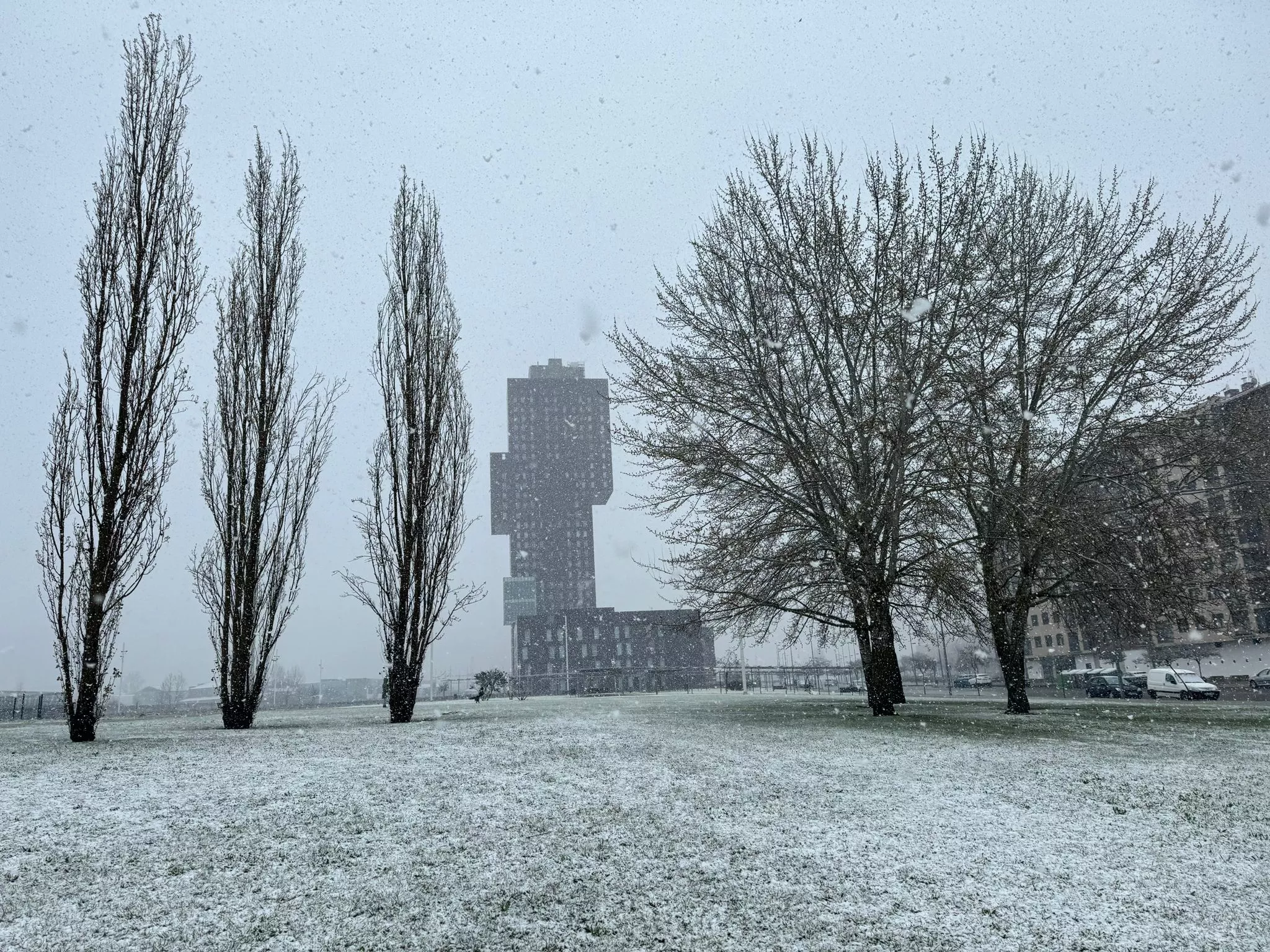 Nieve en La Rosaleda