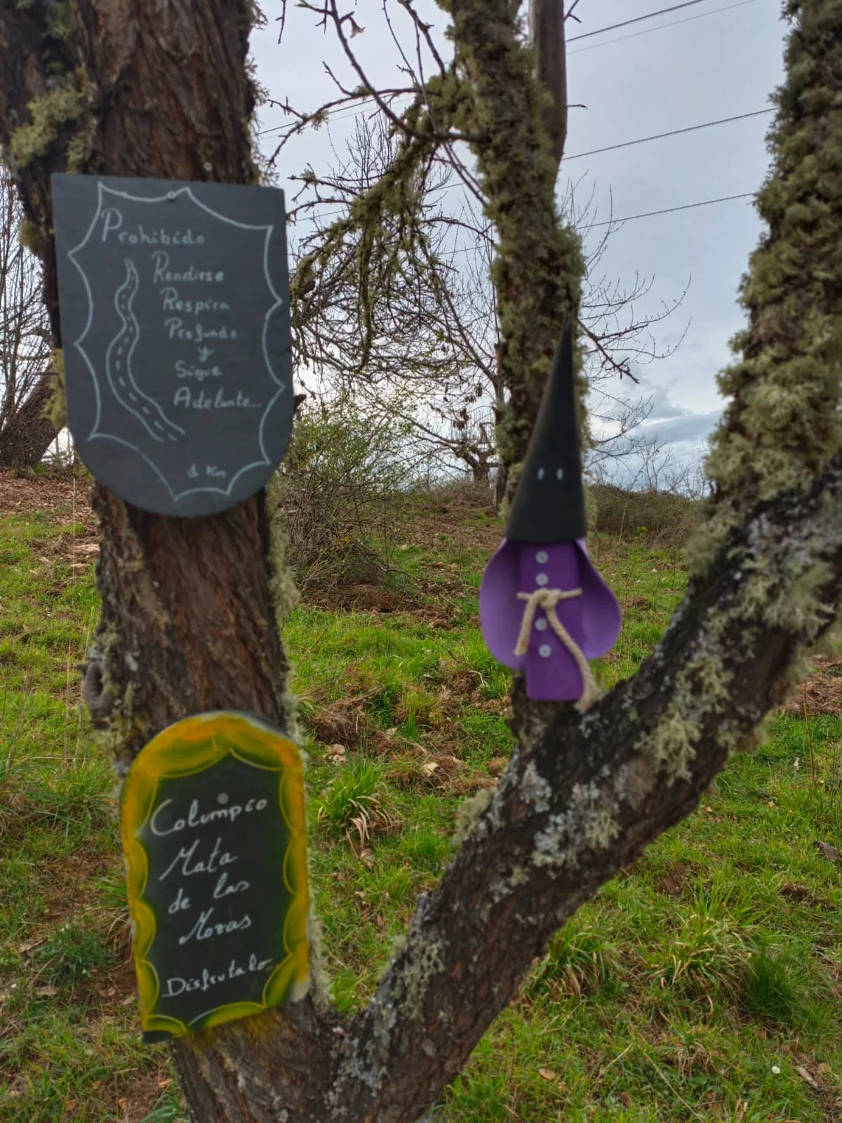 Columpio de Rimor decorada para la Semana Santa (6)