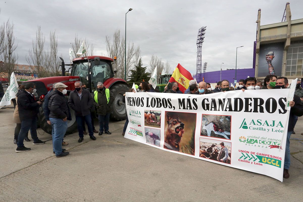 tractorada valladolid proteccion lobo