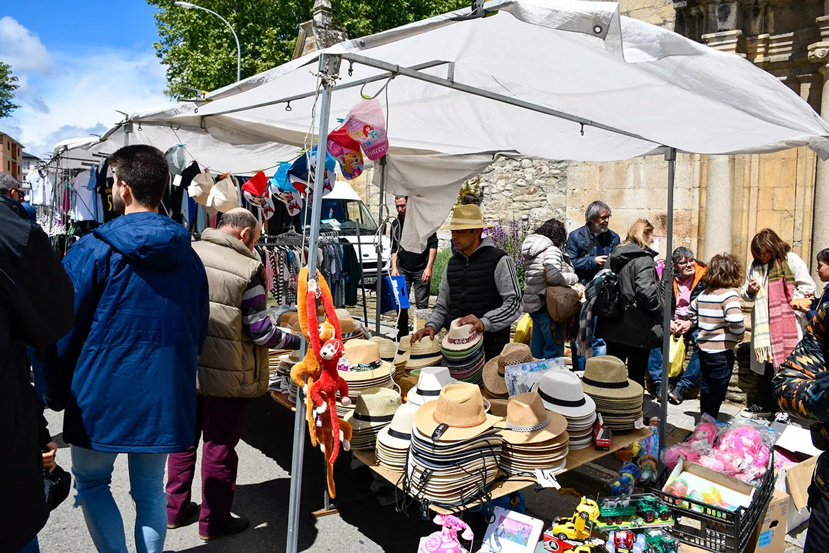 Feria de Cacabelos (78)