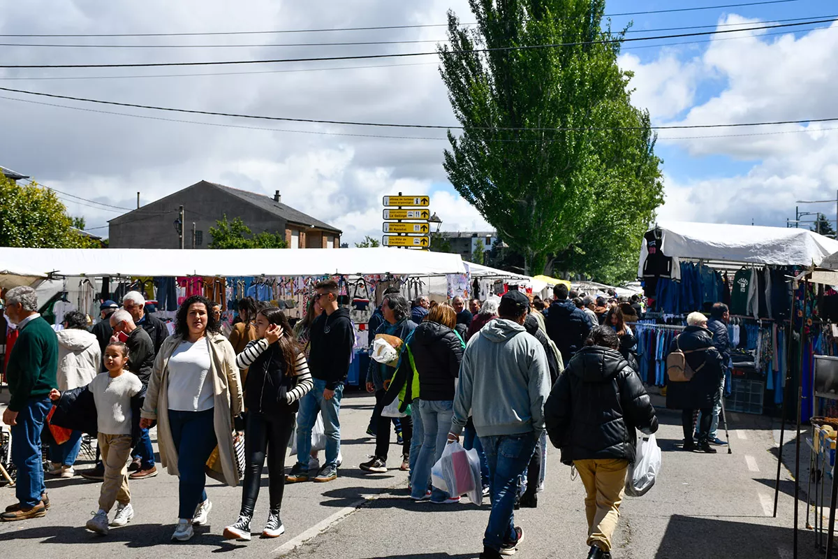 Feria de Cacabelos (77)