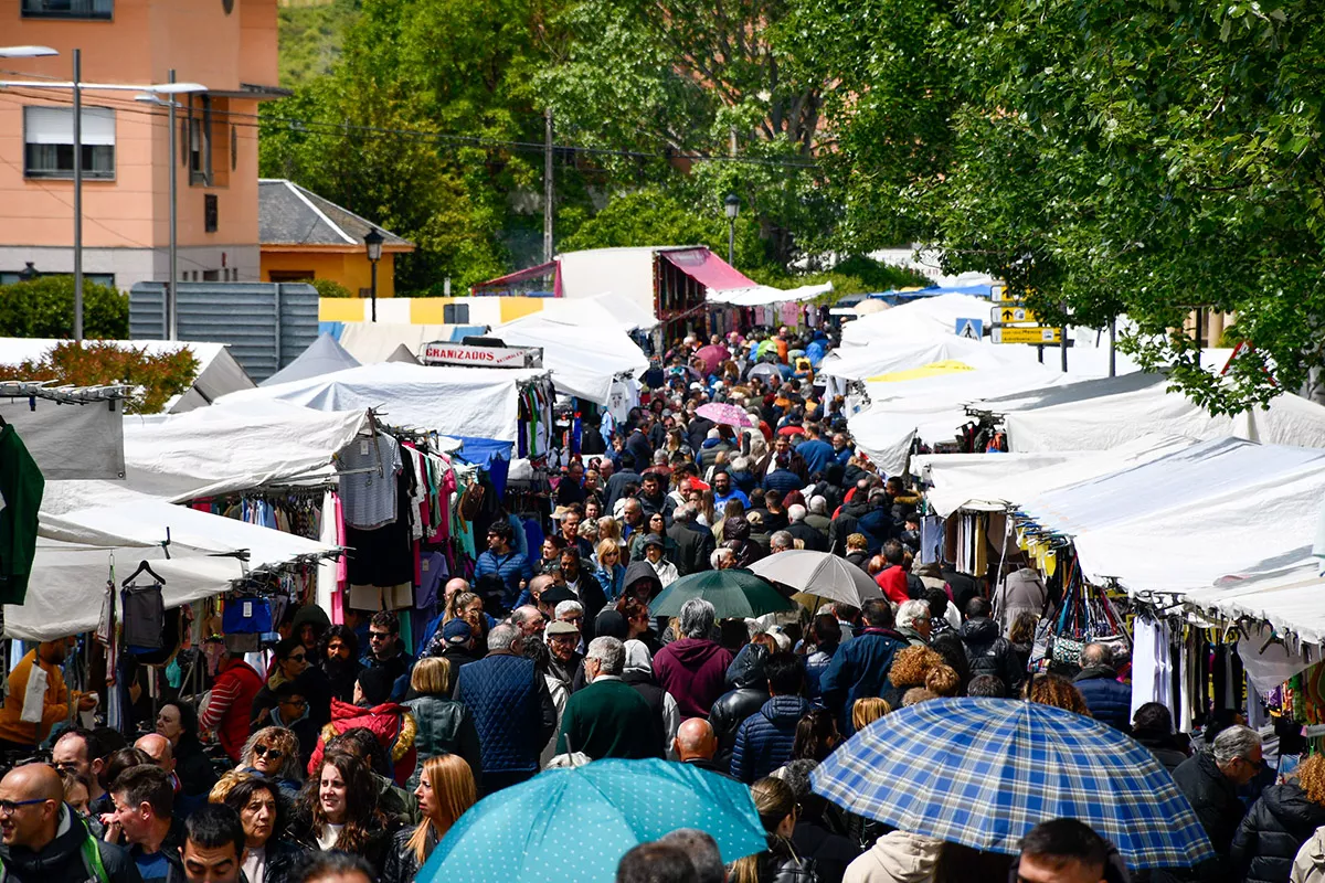 Feria de Cacabelos (64)