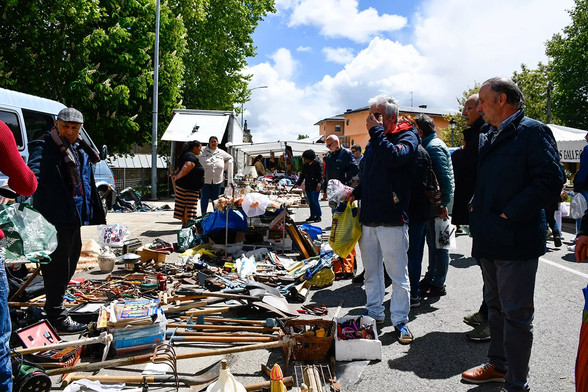 Feria de Cacabelos (27)