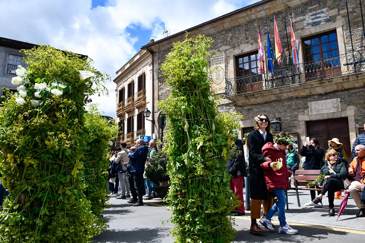 Maios de Villafranca (17)