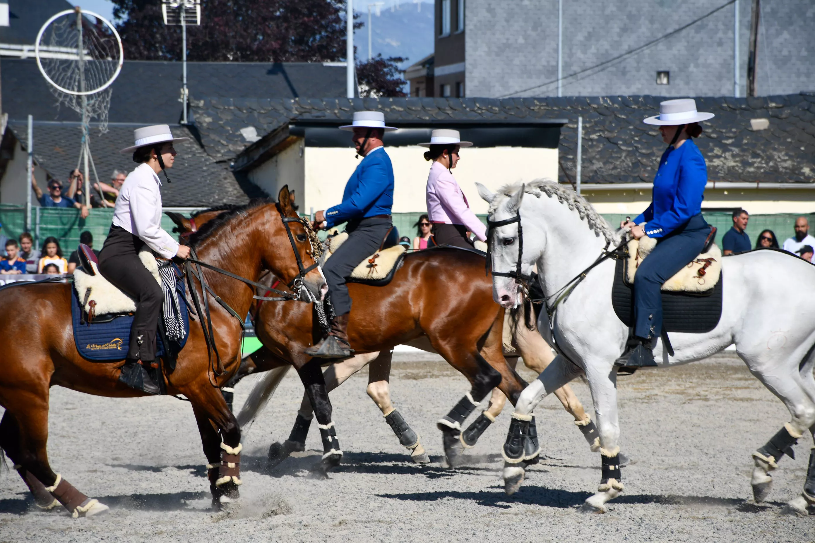 Feria del Caballo de Camponaraya: Espectáculo ecuestre