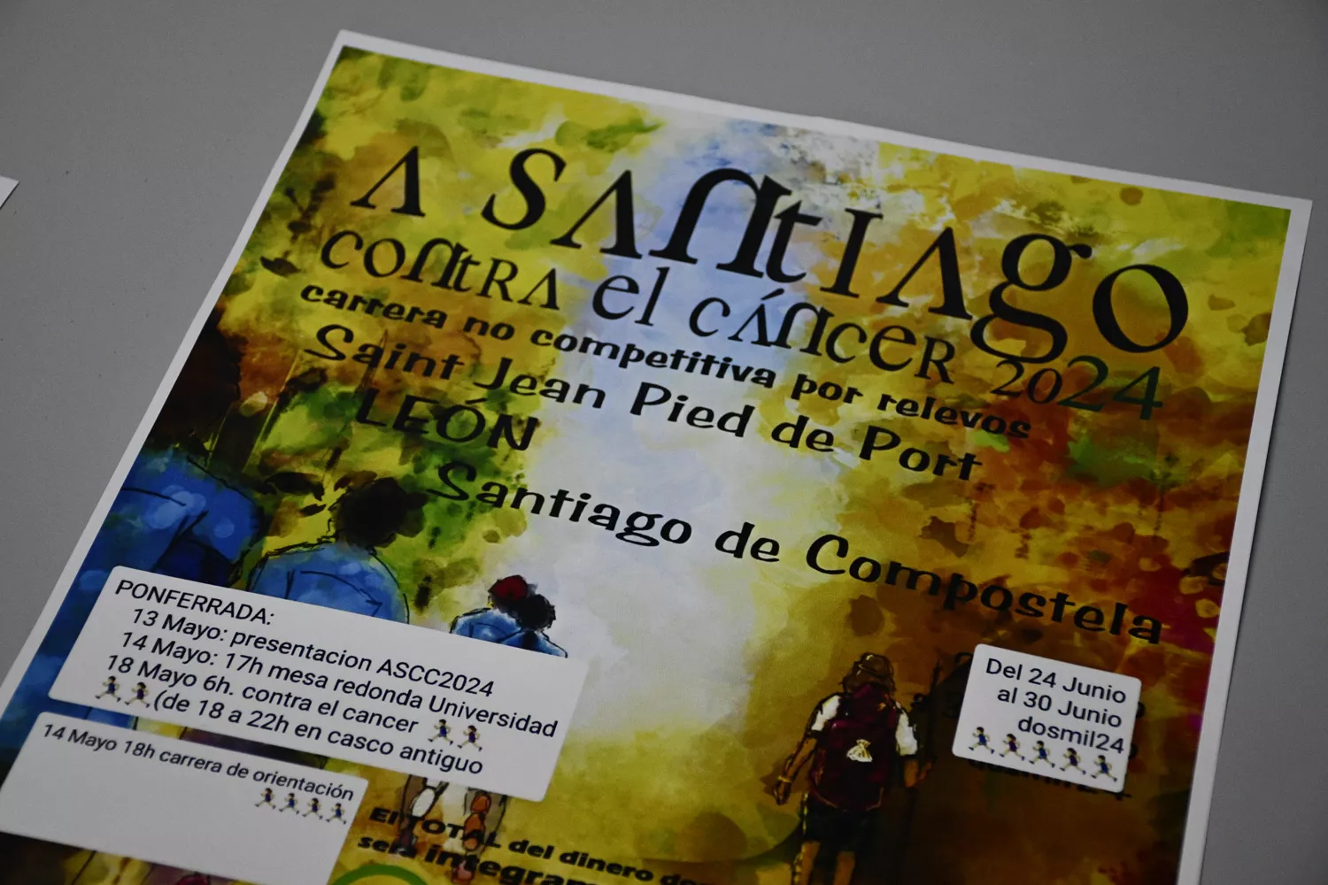 A Santiago contra el cáncer (3)