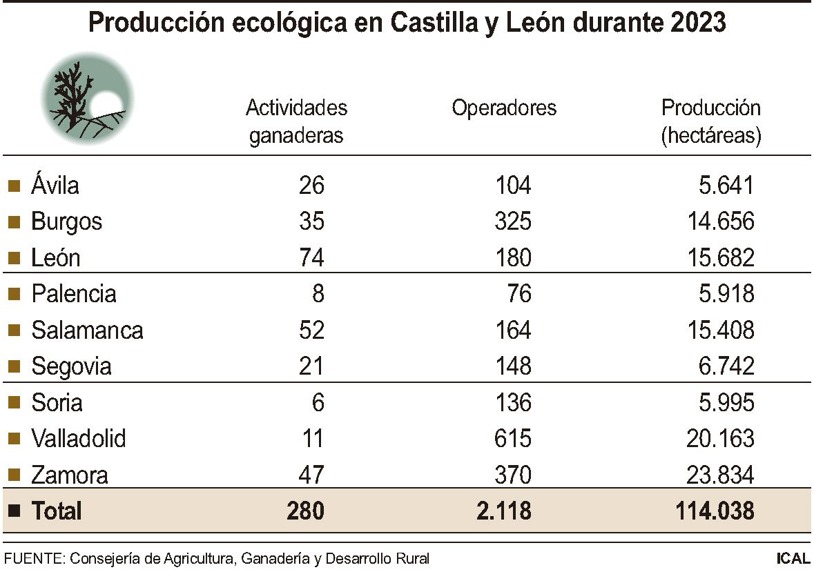  grafico produccion ecologica cyl