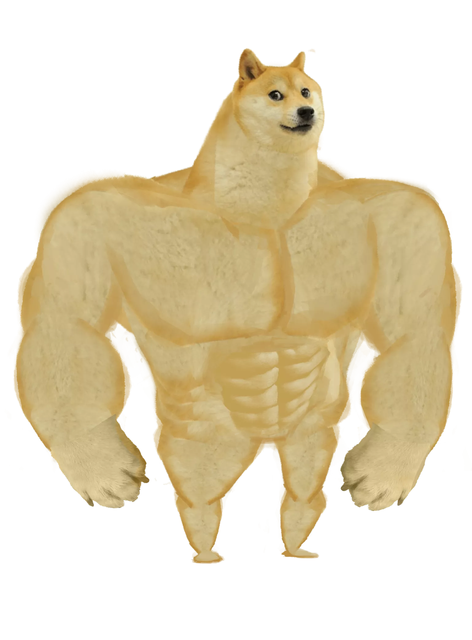 Swole Doge meme 5