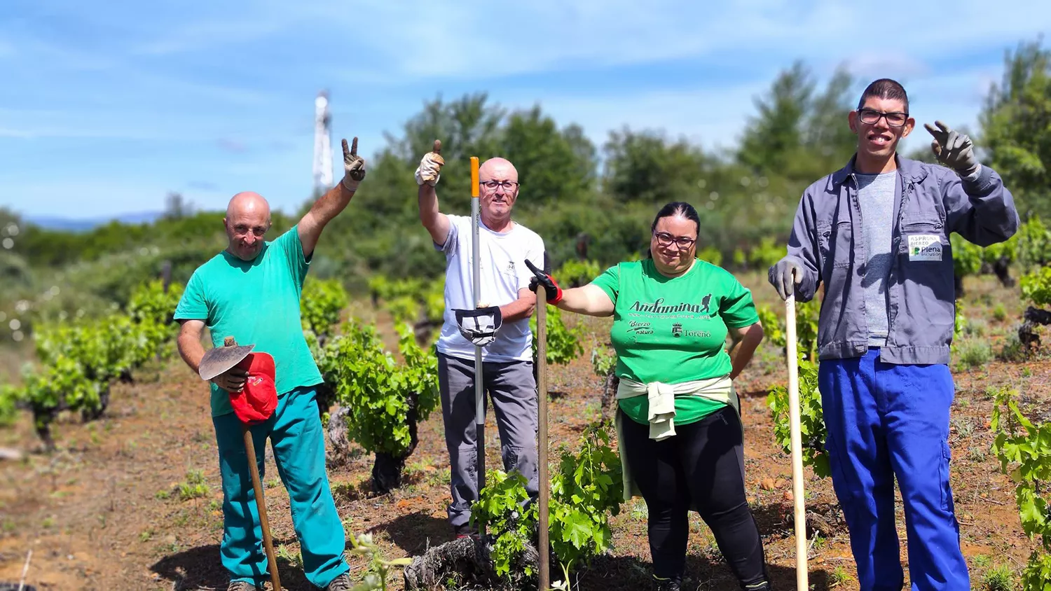 Asprona Bierzo organiza una visita enoturística a su viña de La Grisuela para dar a conocer el proyecto Aspronawine