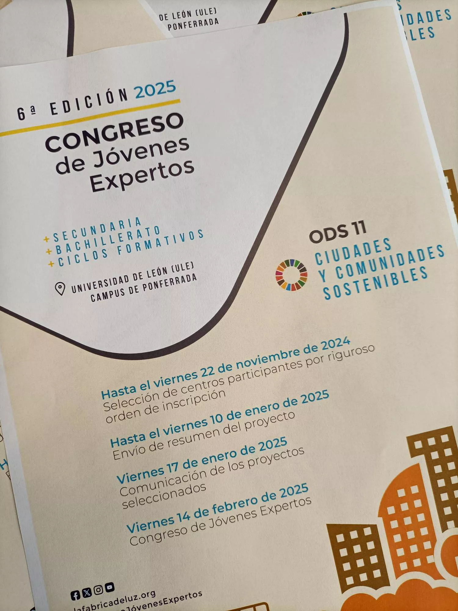 Congreso de Jóvenes Expertos